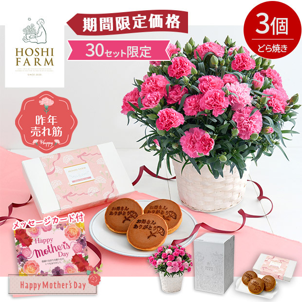 【期間限定価格】＜母の日＞【ホシファーム】カーネーション＆徳島なると金時のどら焼き3個
