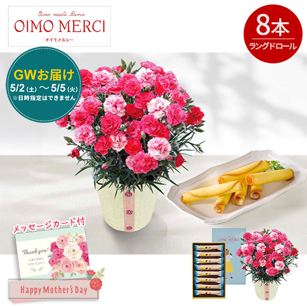 【GWのお届け】＜母の日＞カーネーション（さくらもなか）とOIMO MERCI ラングドロール（C40-1）