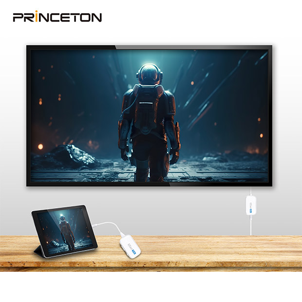 ＜初売りセール＞【プリンストン】EZCastPocket （ワイヤレスUSB-C to HDMI）アダプタ付き（EZCASTPOCKET-C1R1-AC）