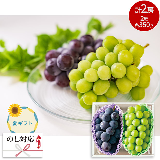 ＜夏ギフト＞ピオーネ＆シャインマスカット（A15-5）