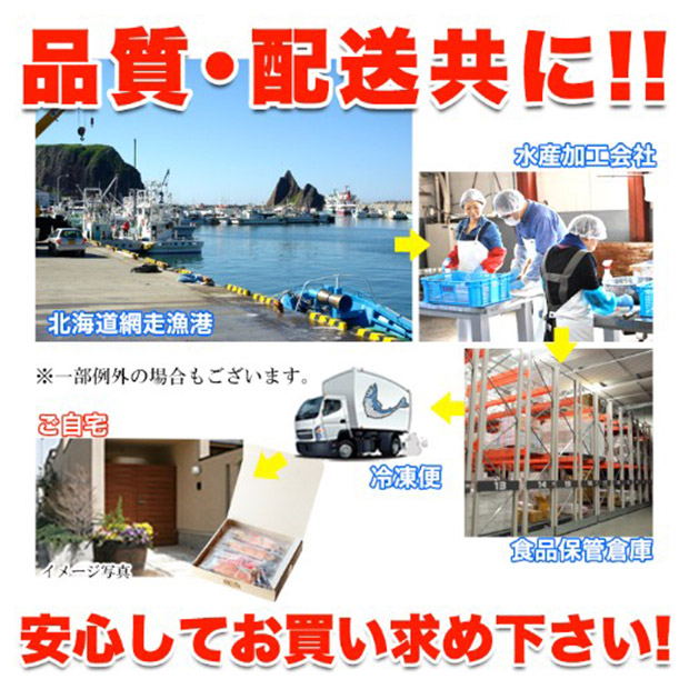 ＜歳末セール＞逆塩熟成！焼き鮭切り身8切れ（NK00000167）