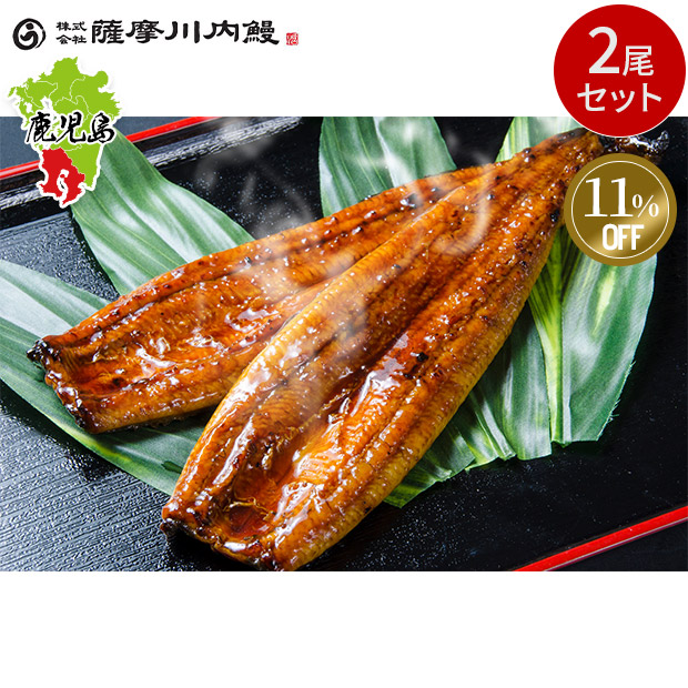 ≪11%OFF≫＜12周年感謝祭＞【薩摩川内鰻】鹿児島県産うなぎ蒲焼2尾セット