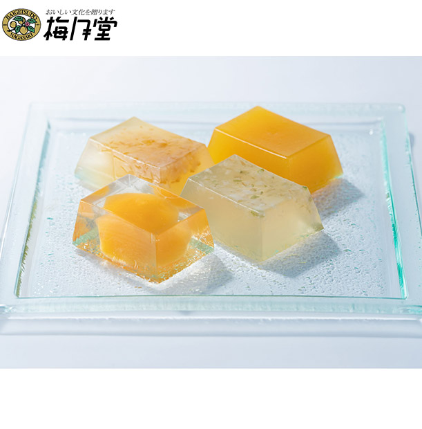 ＜夏ギフト＞【梅月堂】長崎果実のぷるぷるジェリー8個入