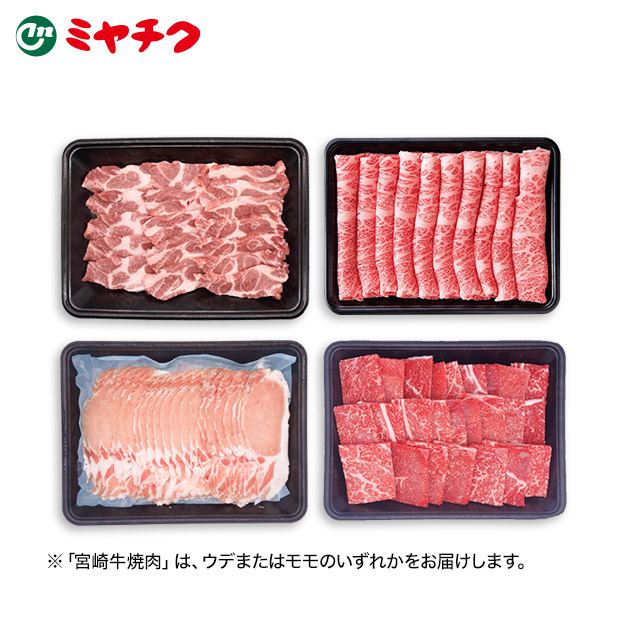 ＜13周年感謝祭＞【ミヤチク】宮崎牛・豚バラエティセット 2kg