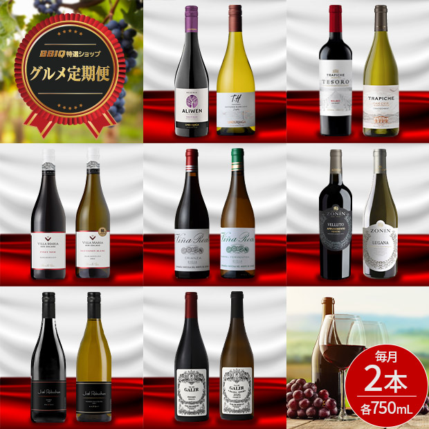 ＜特選グルメ定期便＞ワインで巡る世界の旅　750mL×2本セット