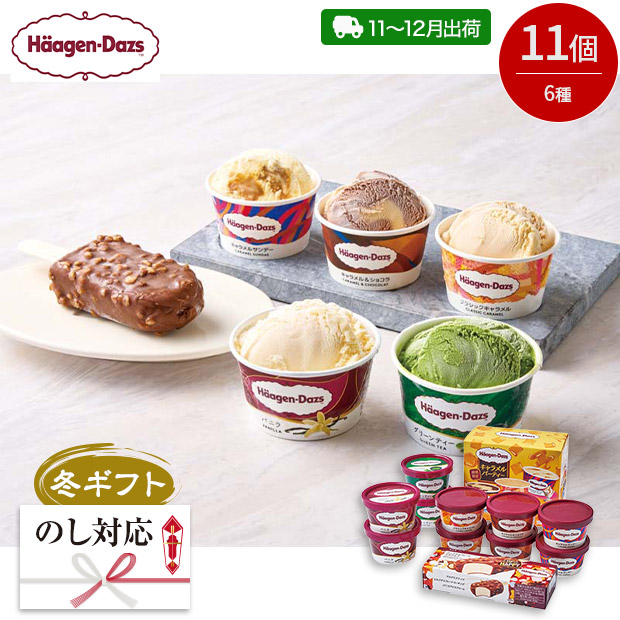 ＜冬ギフト＞【ハーゲンダッツ】アイスクリームセット 11個(HDS-2)