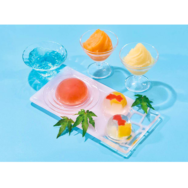 ＜夏ギフト＞【京竹風庵】涼水菓 涼風夏撰（RG-30V）
