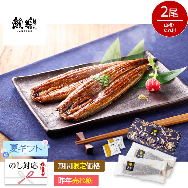【期間限定価格】＜夏ギフト＞【鰻楽】九州産うなぎ蒲焼2尾セット(aQMN2/280-C)