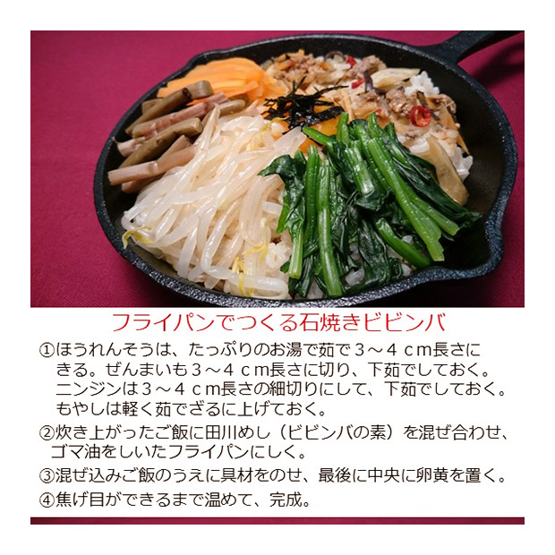 田川めしビビンバの素100g&times;4個セット