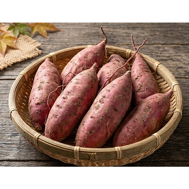 ＜冬ギフト＞【さつまいも本舗】さつまいも紅はるか 5kg