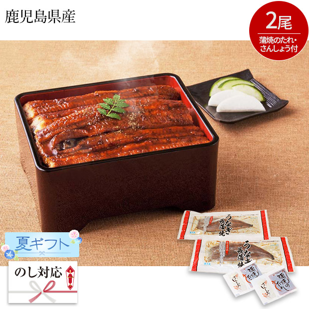 ＜夏ギフト＞鹿児島県産 うなぎ長蒲焼セット（KA-UK2）