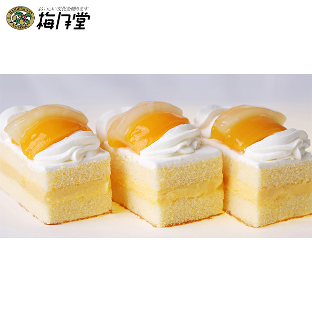 【梅月堂】シースクリーム10個入