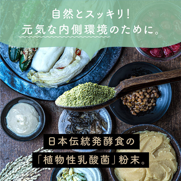 【タマチャンショップ】美粉屋 ちょーぐると ななつの植物食ブレンド