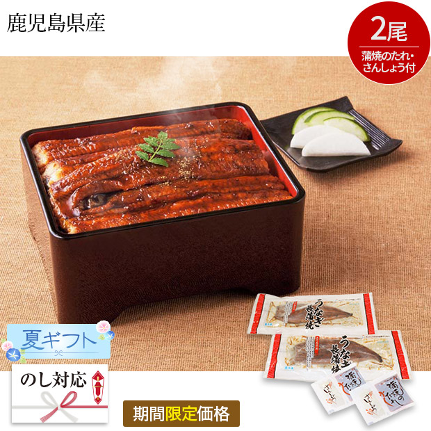 【期間限定価格】＜夏ギフト＞鹿児島県産 うなぎ長蒲焼セット（KA-UK2）