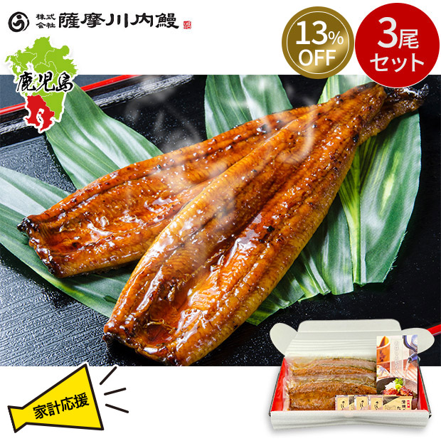 ≪13%OFF≫＜13周年感謝祭＞【薩摩川内鰻】鹿児島県産うなぎ蒲焼3尾セット