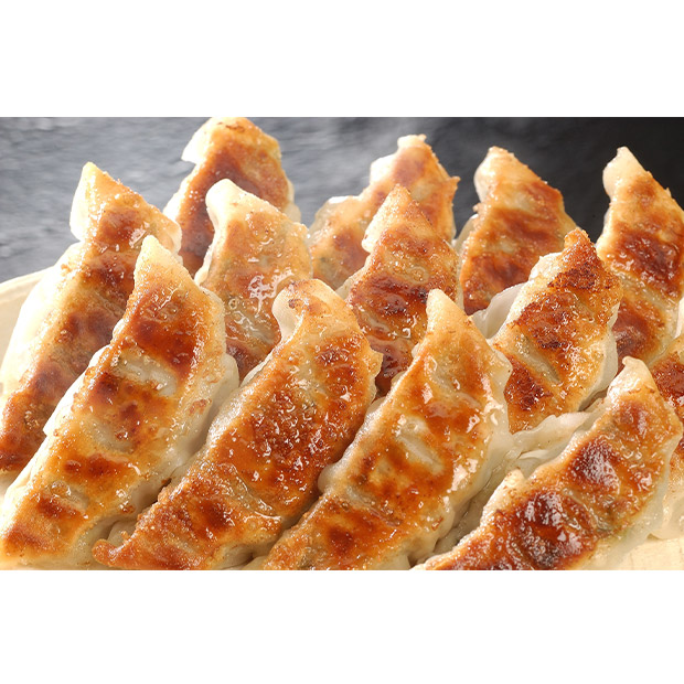 黒豚にんにく餃子セット  48個入（GATU-3）
