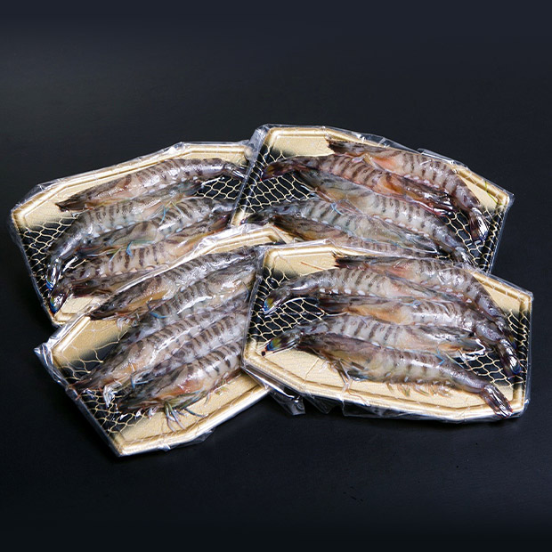 【MBC開発】鹿児島県産 活〆冷凍車海老 125ｇ×4P(生食可)