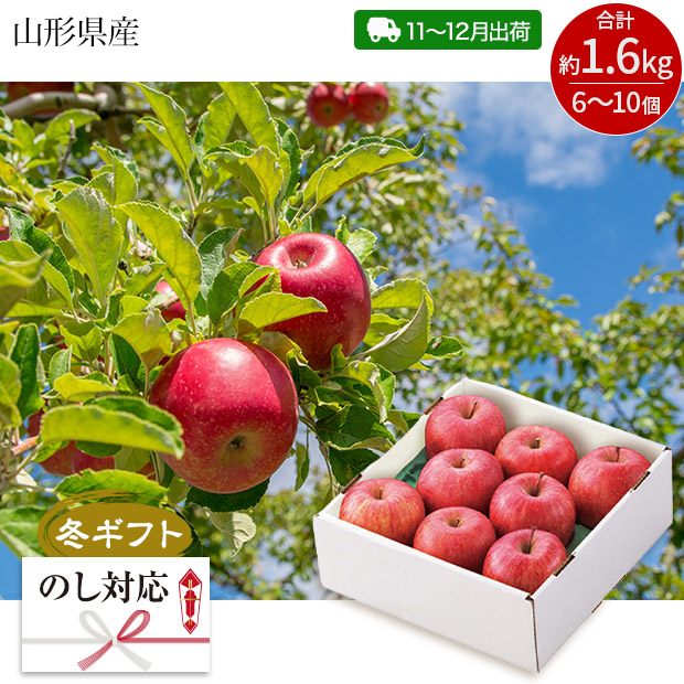 ＜冬ギフト＞山形県産 サンふじりんご（JTYSF9）