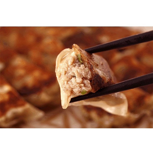 【鹿児島ますや】鹿児島黒豚「短鼻豚」しゃぶしゃぶと餃子セット
