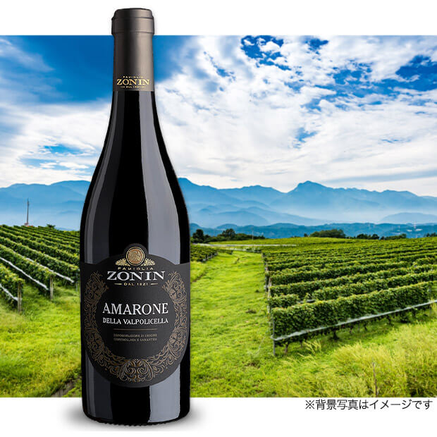 ゾーニン アマローネ・デッラ・ヴァルポリチェッラ DOCG　750mL