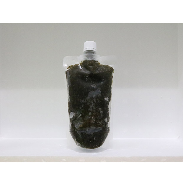 玄界灘産 天然無添加 アカモク300g×6本