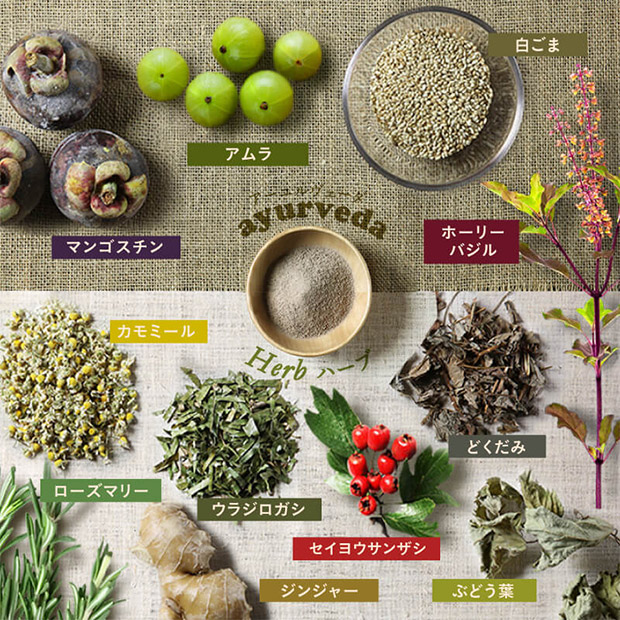 【タマチャンショップ】美粉屋 みらいのエステ