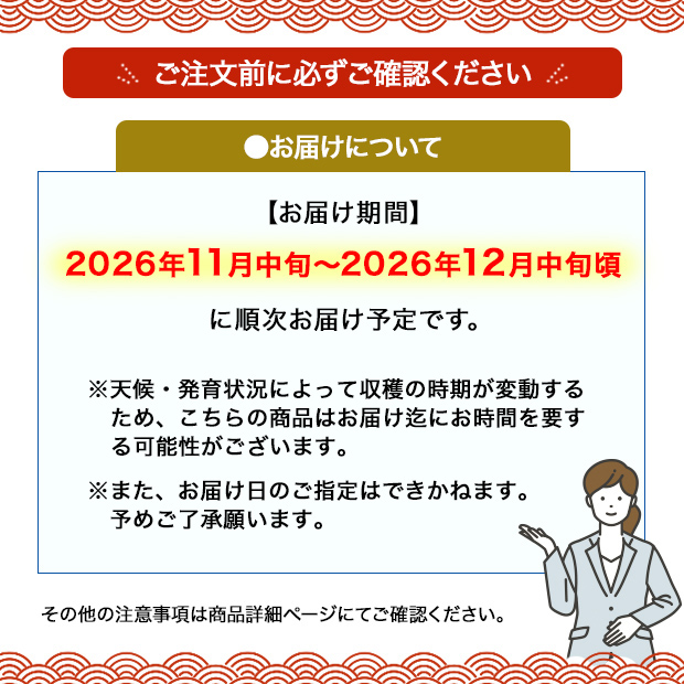 ＜冬ギフト＞山形県産 サンふじりんご（JTYSF9）
