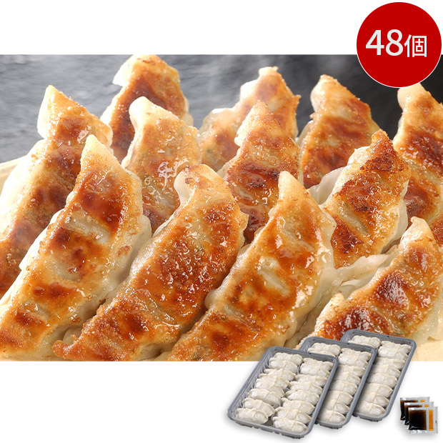 黒豚にんにく餃子セット  48個入（GATU-3）