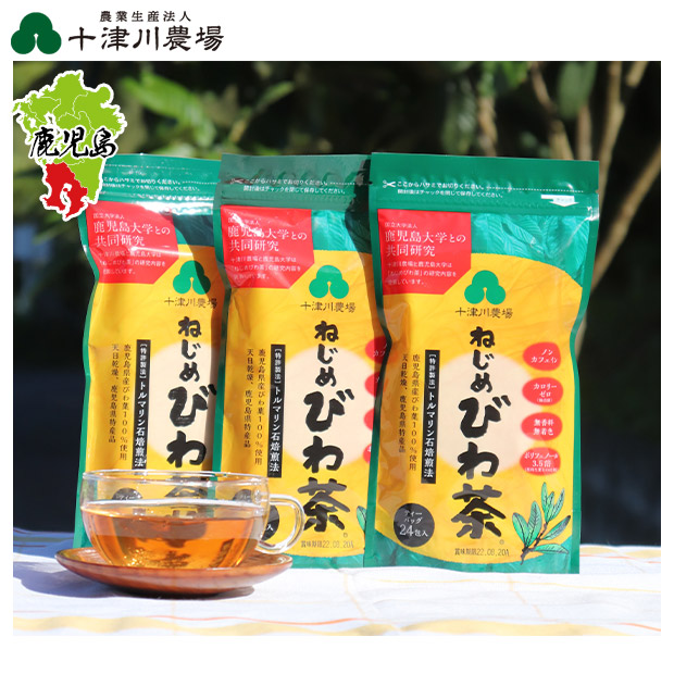 【十津川農場】ねじめびわ茶24(2g×24包入)×3セット