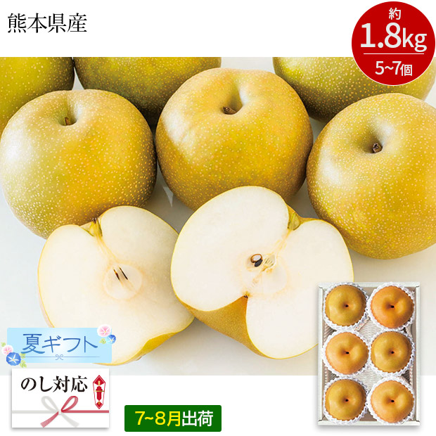 ＜夏ギフト＞熊本県産 幸水梨（C15-1）
