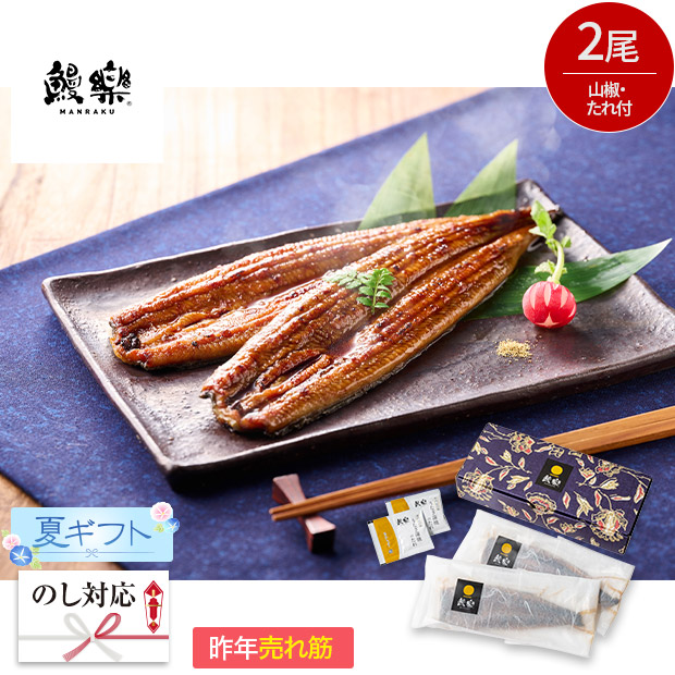 ＜夏ギフト＞【鰻楽】九州産うなぎ蒲焼2尾セット(aQMN2/280-C)