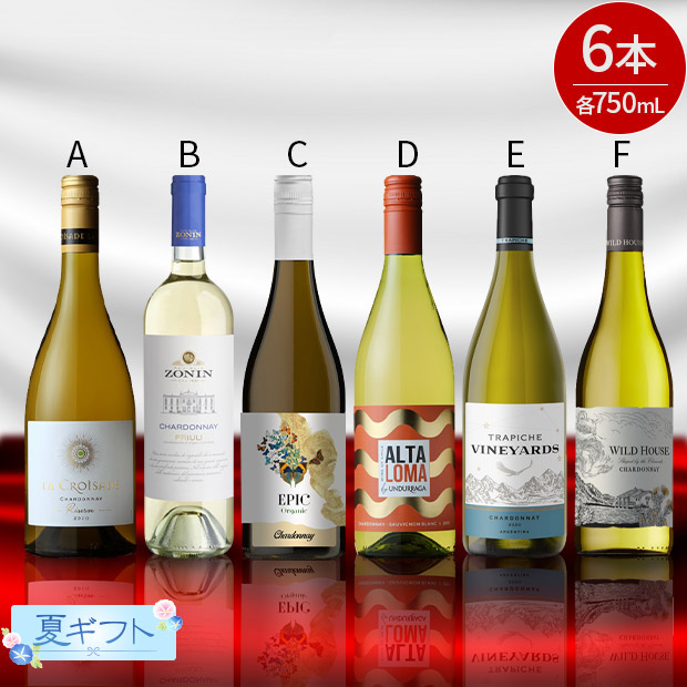 ＜夏ギフト＞厳選 世界のシャルドネ 750mL&times;6本セット
