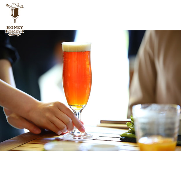 【Honey Forest Brewing】クラフトビール Sun Sun ALE 飲み比べ 330mL×6本セット