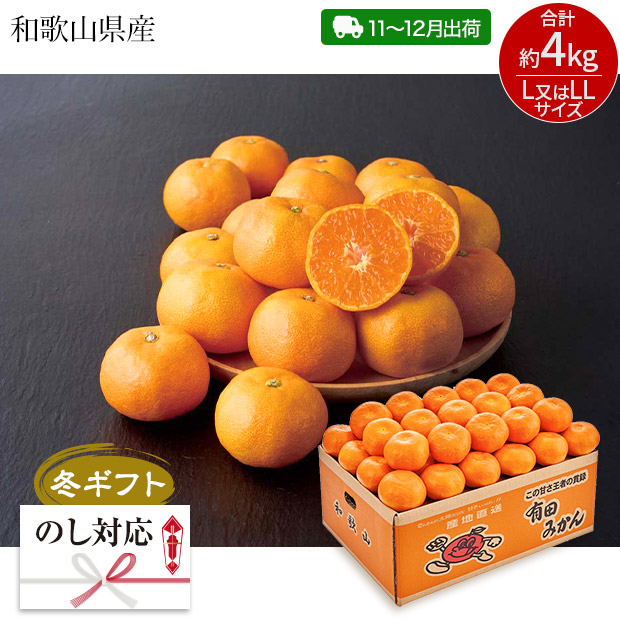 ＜冬ギフト＞和歌山県産 有田みかん（Q13-3A）
