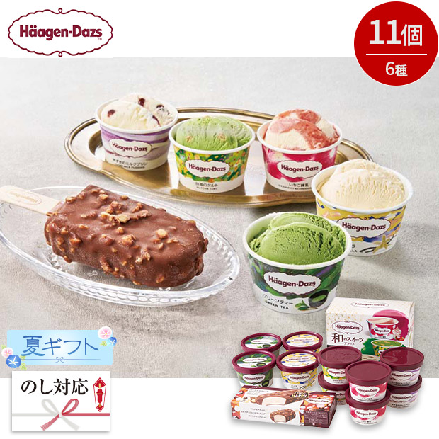 ＜夏ギフト＞【ハーゲンダッツ】アイスクリームセット(HDS-2)