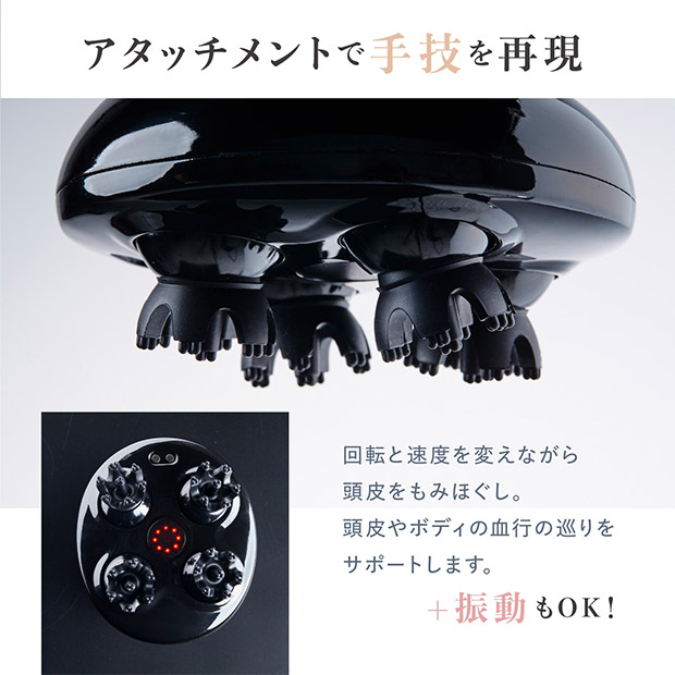 心臓病抱える猫 Leoの場合 STEP2 心室中隔欠損症(VSD) Leo(4ヶ月