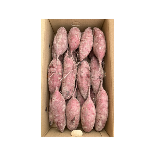 ＜冬ギフト＞【さつまいも本舗】さつまいも紅はるか 5kg