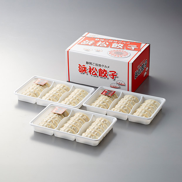 ＜夏ギフト＞静岡Ｂ級グルメ浜松餃子45粒（HG-3-C）