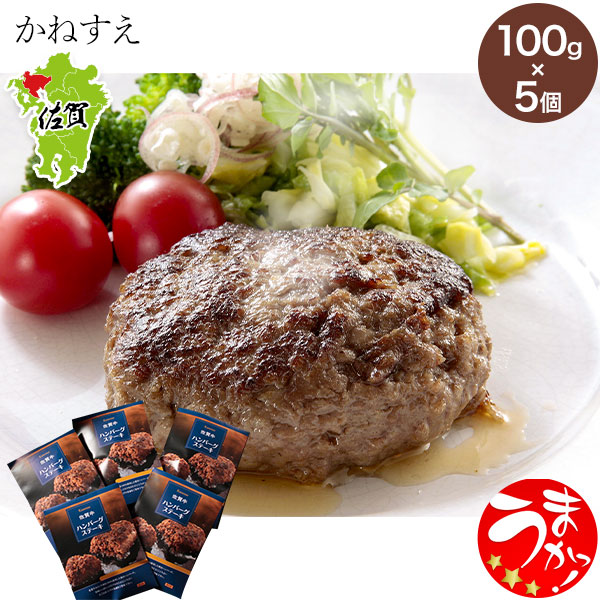 【かねすえ】佐賀牛ハンバーグ (100g×5個)