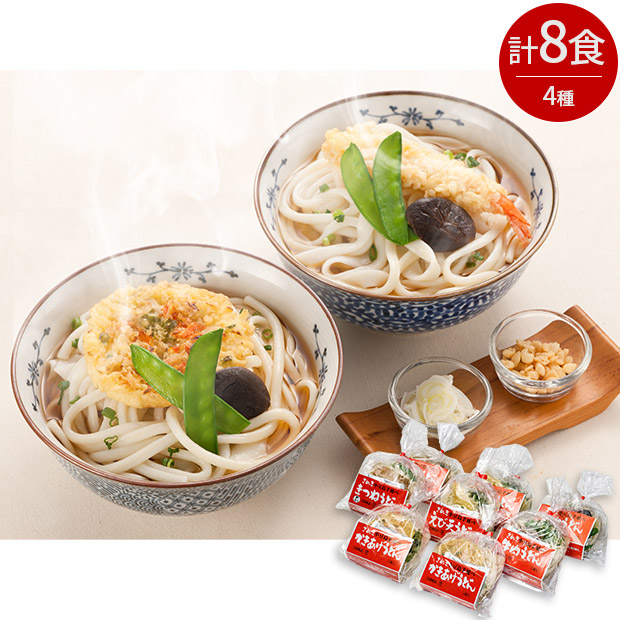 手延べ讃岐うどん詰合せ（牛肉うどん入り）（RF-80）