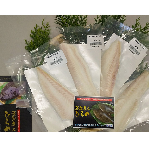 【MBC開発】鹿児島県産 活〆冷凍ヒラメフィーレ 4P(360g以上)(生食可)