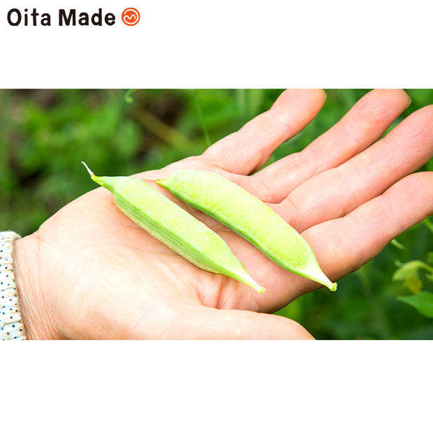 【OitaMade】耶馬渓 旬の野菜セット