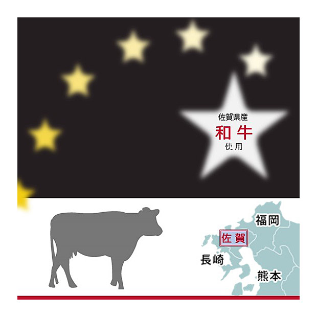 佐賀県産和牛 極星カレー　4個セット